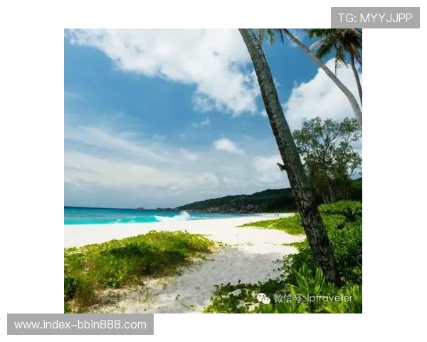 手机bbin平台支持多种支付方式的详细介绍及快速充值体验提升攻略